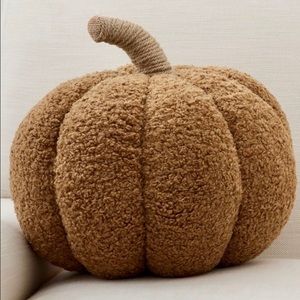 Pottery Barn Large 14” Cozy Tobacco Pillow New Sealed Sold Out! 🍁🍂